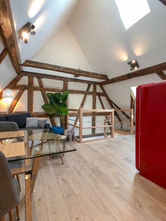 Beauty & The Beast - Old Town Cosy Apartments كولمار المظهر الخارجي الصورة