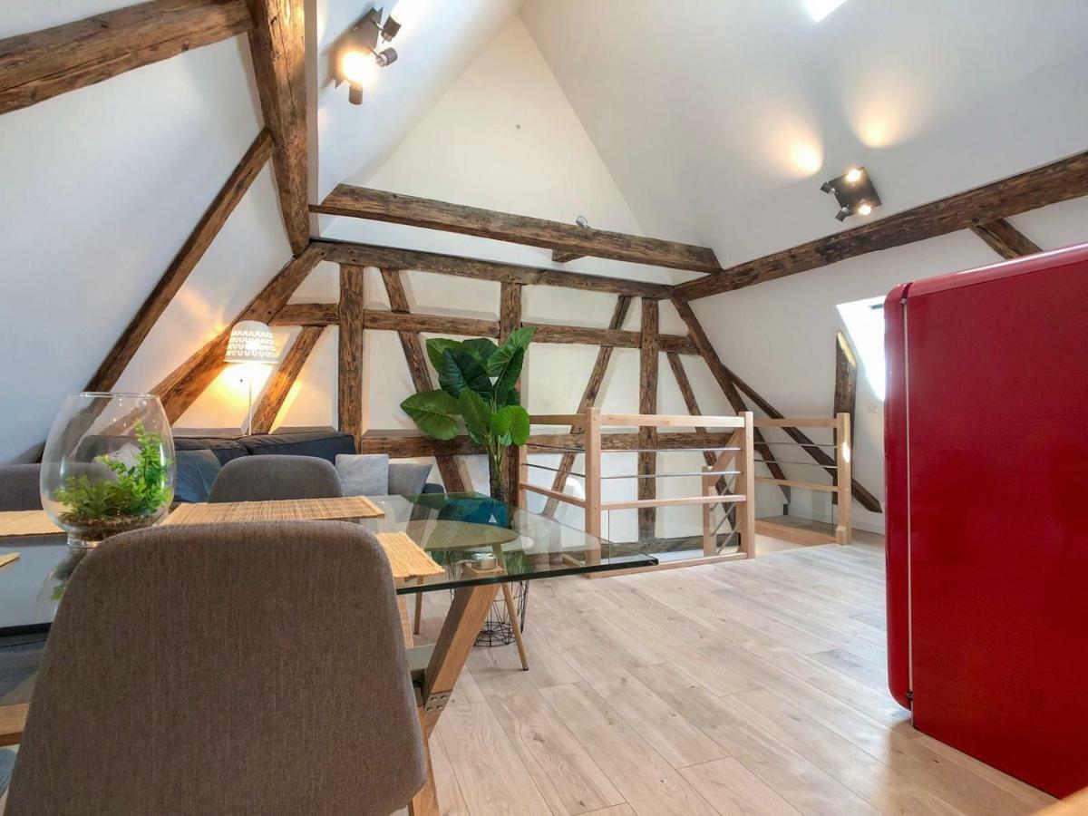 Beauty & The Beast - Old Town Cosy Apartments كولمار المظهر الخارجي الصورة