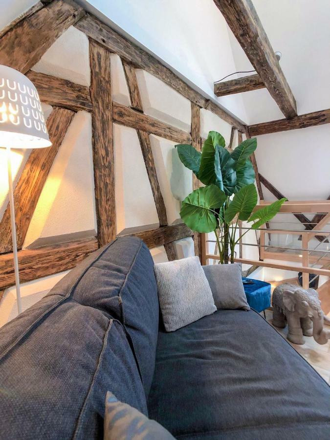 Beauty & The Beast - Old Town Cosy Apartments كولمار المظهر الخارجي الصورة